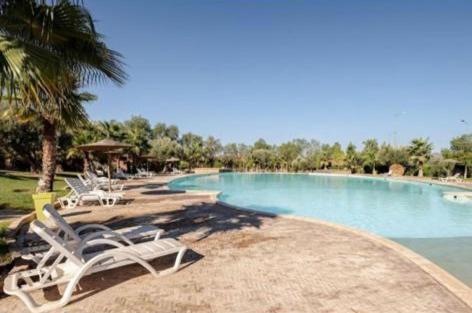 Flat Apartment Marrakesh